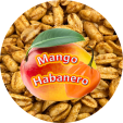 mango_habanero_495497597